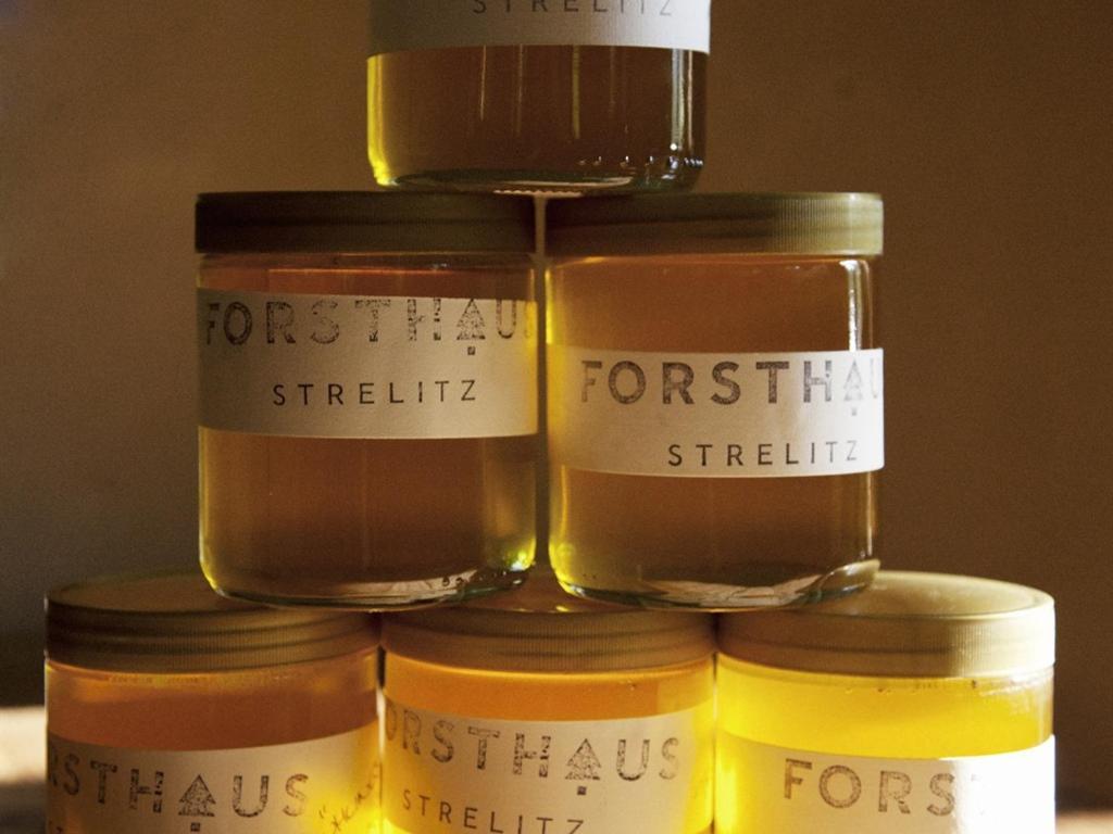 Hotel Forsthaus Strelitz Neustrelitz Pokój zdjęcie